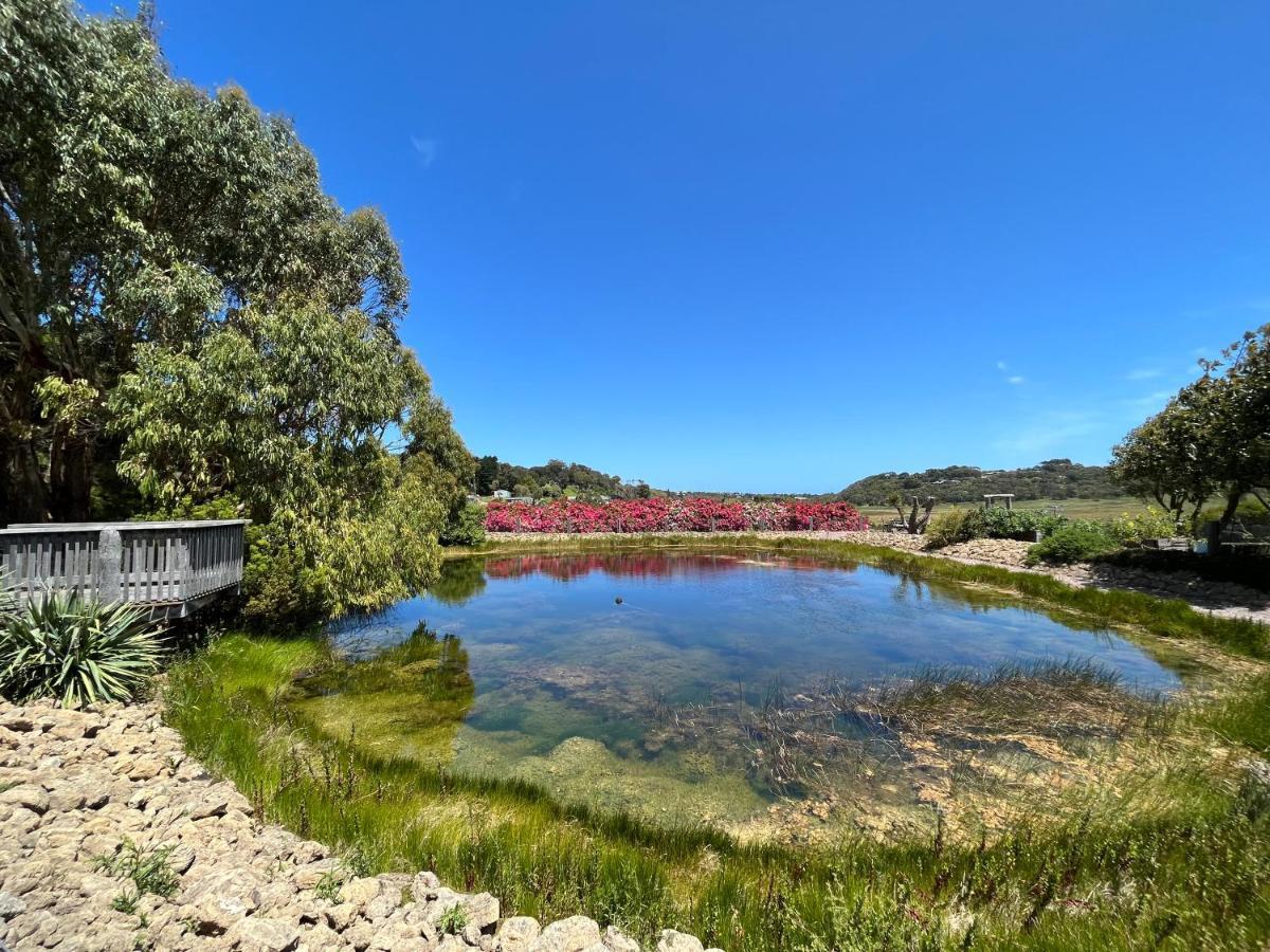 Daysy Hill Country Cottages ميناء كامبل المظهر الخارجي الصورة