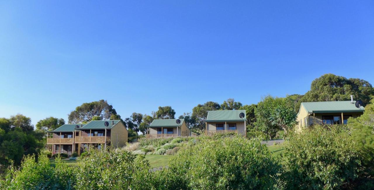 Daysy Hill Country Cottages ميناء كامبل المظهر الخارجي الصورة