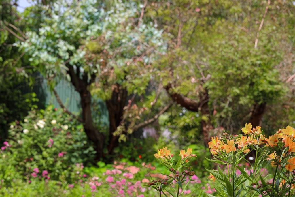 Daysy Hill Country Cottages ميناء كامبل المظهر الخارجي الصورة