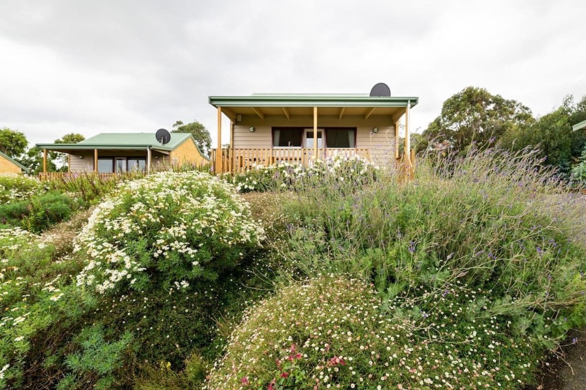 Daysy Hill Country Cottages ميناء كامبل المظهر الخارجي الصورة